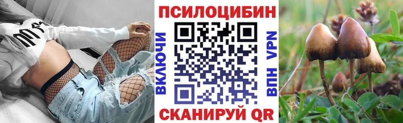 ОМГ ОМГ ССЫЛКА Ясный Псилоцибиновые грибы Psilocybe
