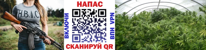 где можно купить наркотик  Ясный  Марихуана AK-47 